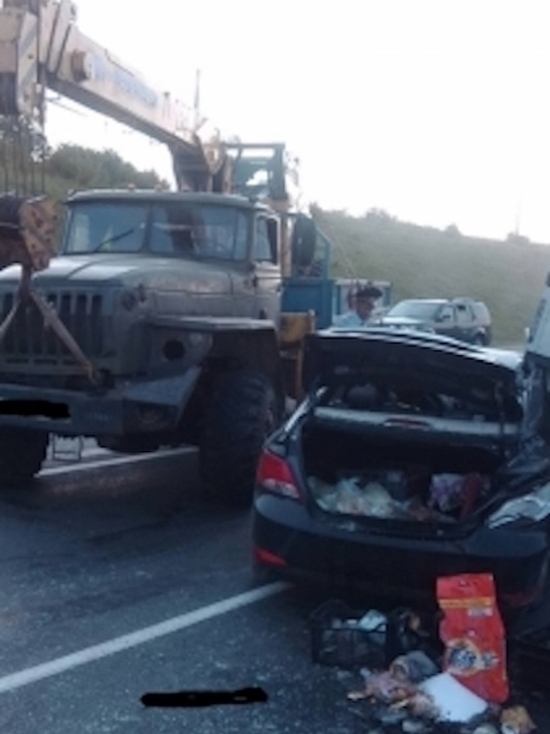 ДТП на трассе «Крым» в Тульской области: пострадали пять человек