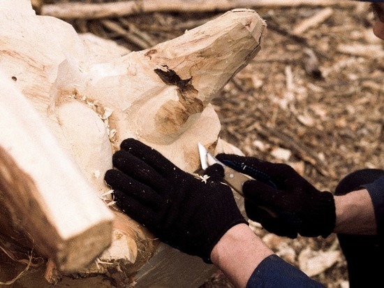 На Алтае пройдет международный фестиваль деревянной скульптуры