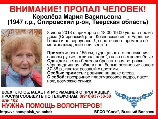 В Тверской области пропала пенсионерка
