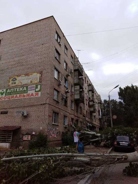 Упавшее дерево в Астрахани сломало окна и сплит-системы
