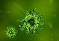 Профессор Мэрилендского университета Джонатан Динман предположил, что "зомби-вирус" существует и хорошо известен
