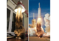 Интернет-пользователи активно обсуждают недавно опубликованные в интернете картинки, на одной из которых можно увидеть кошку, пытающуюся дотянуться до лампы, а на другой — наблюдать запуск ракеты