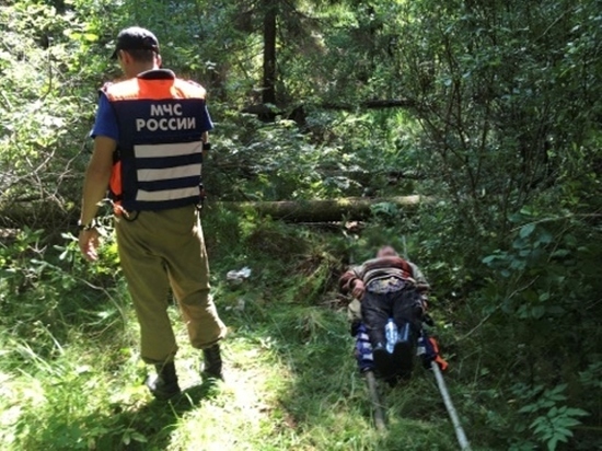Спасатели вывели измождённую бабушку из леса под Тверью