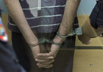 Согласно российской Конституции, каждый осужденный в стране имеет право на смягчение наказания или освобождение от него