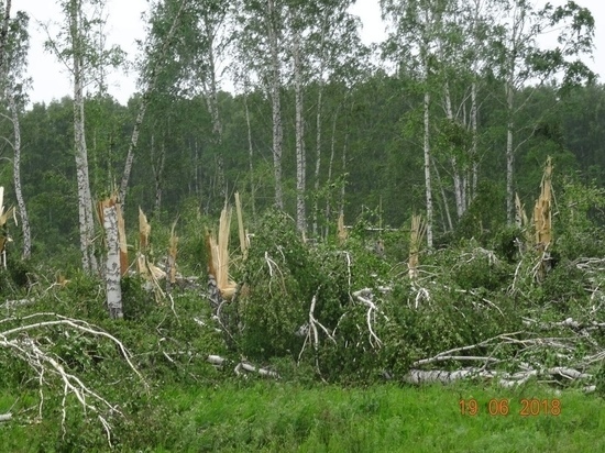 Пострадавшим от урагана районам Алтайского края выделили 1,9 млн