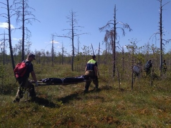 Спасатели нашли тело пропавшего 22 июня в Архангельской области человека