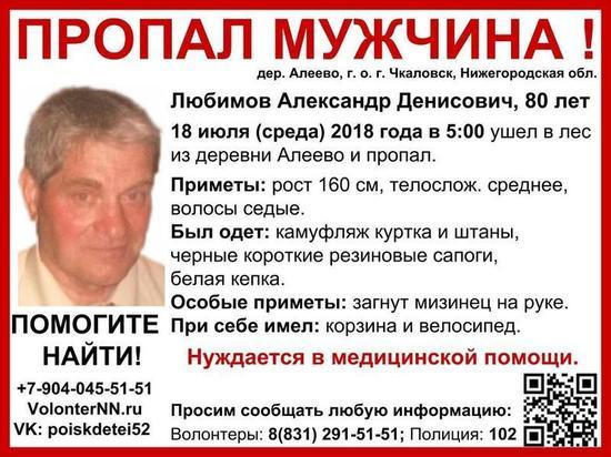 (16+) Объявлен сбор на поиск Александра Любимова в Чкаловском районе
