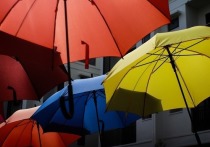 Бурный всплеск спроса на зонты и дождевики среди чиновников произошел из-за капризов погоды этим летом