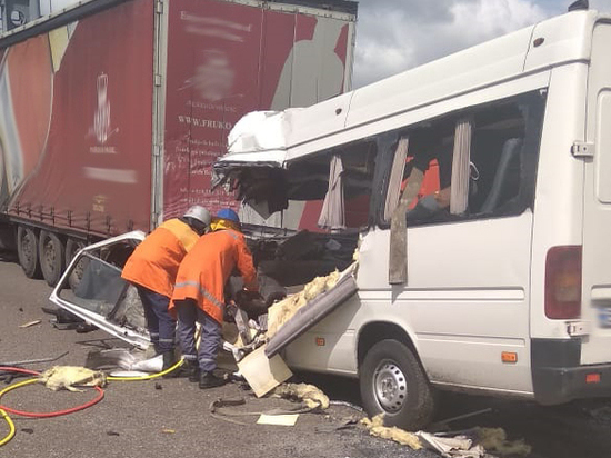 Десять человек погибли в ДТП с маршруткой под Житомиром