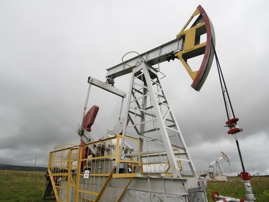 В Татарстане обнаружена утечка нефти из трубопровода