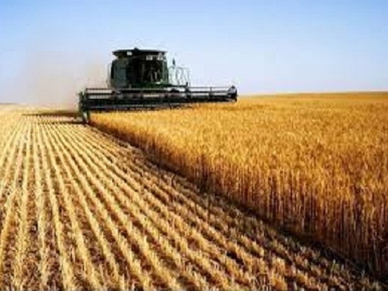 В Татарстане с июня прошлого года закрылось 21 сельхозпредприятие