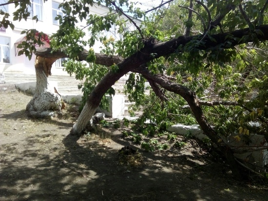 Поломанные деревья, град, пострадавший ребенок – ураган в Оренбуржье разыгрался не на шутку