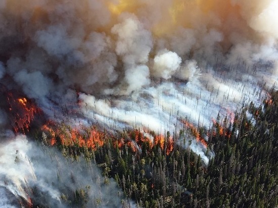 На севере Карелии продолжается лесной пожар