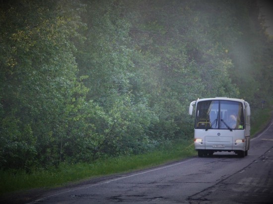 В разгар сезона: проезд в пригородных автобусах Карелии подорожает