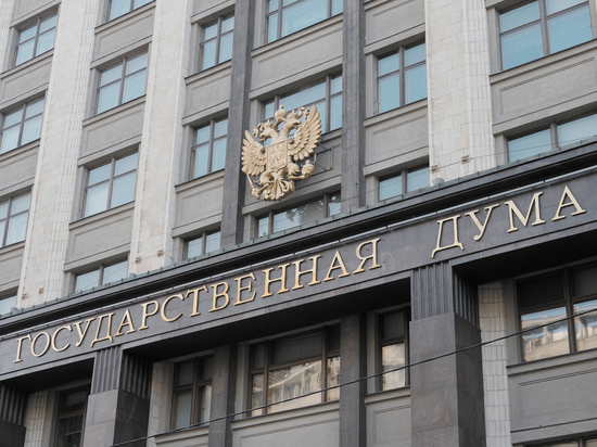 Как одна баба надула целую Госдуму на десятки миллионов рублей Как одна баба надула целую Госдуму на десятки миллионов рублей