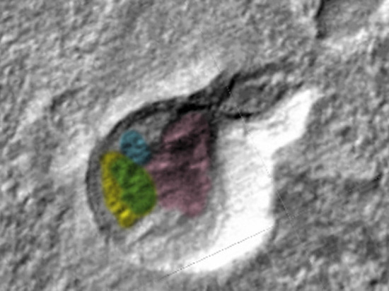 Изображения пришельцев он заметил в одном из кратеров.