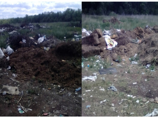 В Оренбуржье главу сельсовета оштрафовали на 50 000 рублей за уничтожение почвы солями тяжелых металлов
