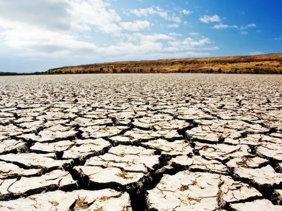 Ущерб сельхозугодиям от засухи в Калмыкии составил 259 млн руб