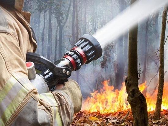 В Якутии ликвидировали еще пять лесных пожаров