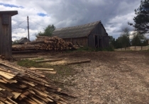 По данным Рослесхоза, в прошлом году ущерб от нелегальных рубок составил 1,7 млн кубометров древесины и оценивался в 11,1 млрд рублей