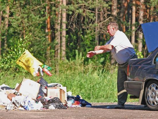 Зачем в дубравах и ельниках должны стоять эти символы цивилизации