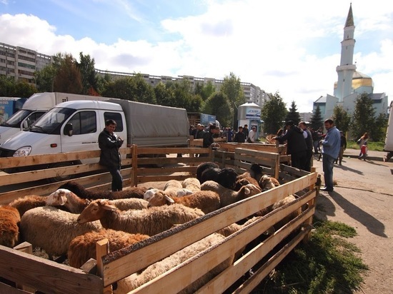 В мечетях Казани к празднику Курбан-байрам начали принимать заявки на забой жертвенных животных