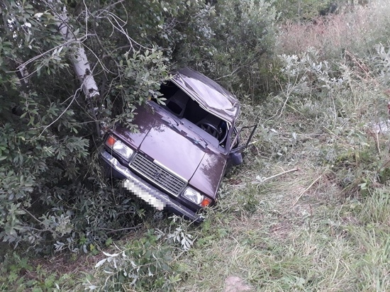 Пьяный водитель в Тверской области вылетел с дороги: пассажир в больнице