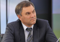 Спикер нижней палаты парламента Вячеслав Володин заявил, что неверно уходить от обсуждения совершенствования пенсионного законодательства, но такие вопросы на митингах не решить