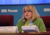 Тем не менее, Элла Памфилова призвала инициаторов продолжать работу по подготовке плебисцита