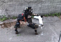 Специалисты из из Итальянского технологического института и Боннского университета представили разработанного ими робота, который внешне более всего напоминает мифических кентавров