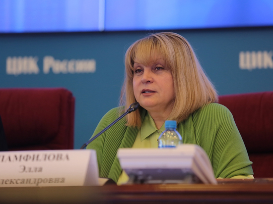 Тем не менее, Элла Памфилова призвала инициаторов продолжать работу по подготовке плебисцита