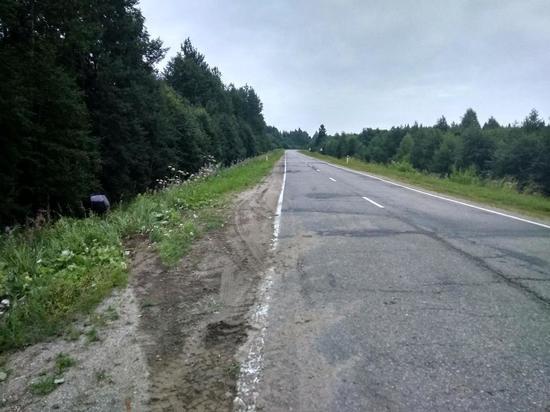 Невинный барсук стал причиной серъёзного ДТП в Тверской области