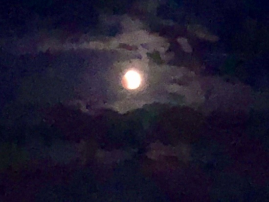 Туляки наблюдают полное лунное затмение