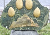 По случаю события на набережной Терека установили часть скульптурной композиции - оттиски следов леопардов, отпечатавшиеся на камне