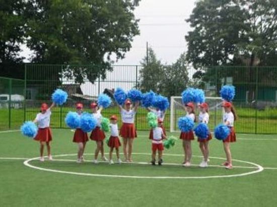 В Андреаполе Тверской области открыли современную площадку для мини-футбола