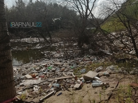 Жители Барнаула жалуются на огромную свалку возле водоема