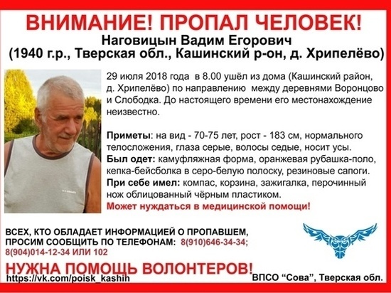 Пенсионер заблудился в лесу в Тверской области