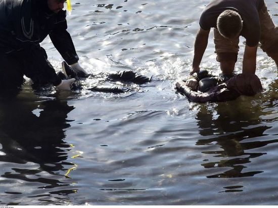 СК раскрыл обстоятельства гибели на воде 27-летнего мужчины под Калугой