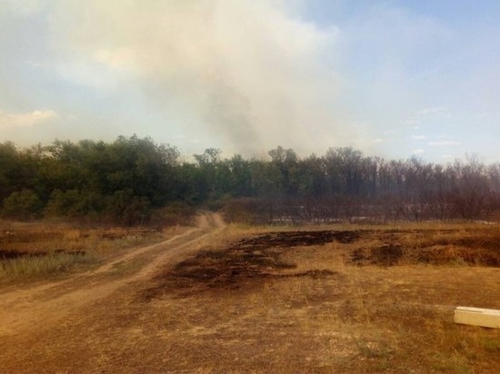 В Кувандыкском городском округе из-за степного пожара сгорело 7 гектаров площади