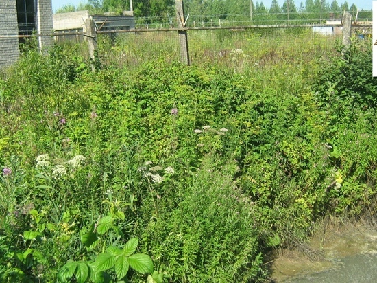 В Тверской области отравили ручей и чуть не отравили население