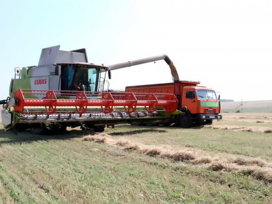 Щекинские аграрии в этом году намолотят меньше зерна