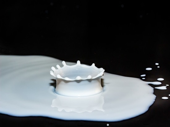 Лаборатория проверки качества молока появилась в Карелии