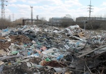 Общественникам удалось добиться ликвидации крупнейшего скопления твердых бытовых отходов возле ТЭЦ-2 в Барнауле