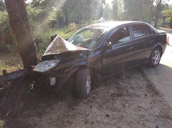 Пьяного водителя в Тверской области остановило дерево