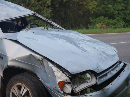 В Тамбовской области автомобиль ВАЗ 2115 перевернулся в кювет: пассажир погиб