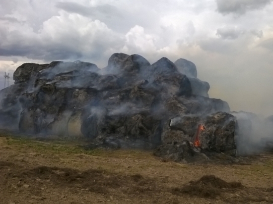 Большие объемы сена сгорели на западе Тульской области