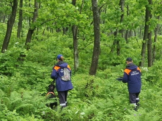 Пропавших в Тверской области женщину и девочку нашли в лесу