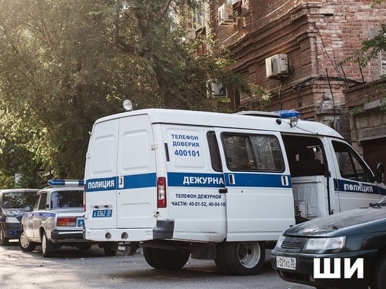 В Астрахани полиция скрутила несовершеннолетнюю девушку, убиравшую навоз