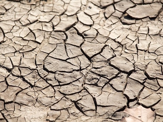 В Татарстане из-за засухи в 17 районах введен режим чрезвычайной ситуации
