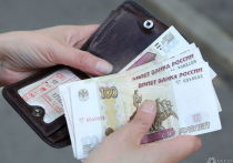 Жители Кузбасса меньше всего подавали заявлений о банкротстве в Сибири, что эксперты связывают с низкой финансовой грамотностью